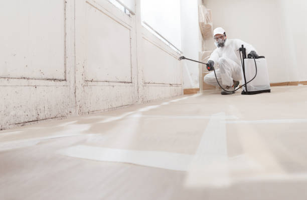24/7 Emergency Mold Remediation experts in Hughesville, MD